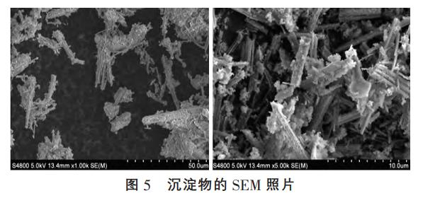 火電廠脫硫廢水氨氮去除工藝