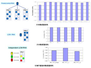 上海伯豪生物技術(shù) SBC miRNA芯片服務(wù)促銷(xiāo)行動(dòng)與全方位實(shí)驗(yàn)技術(shù)解決方案
